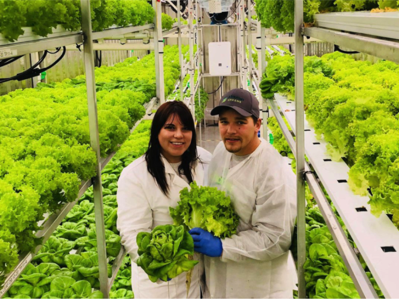 The Growcer. Q&A on food security in Future of Good.
