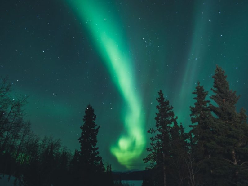 Photo by Leonard Laub on Unsplash