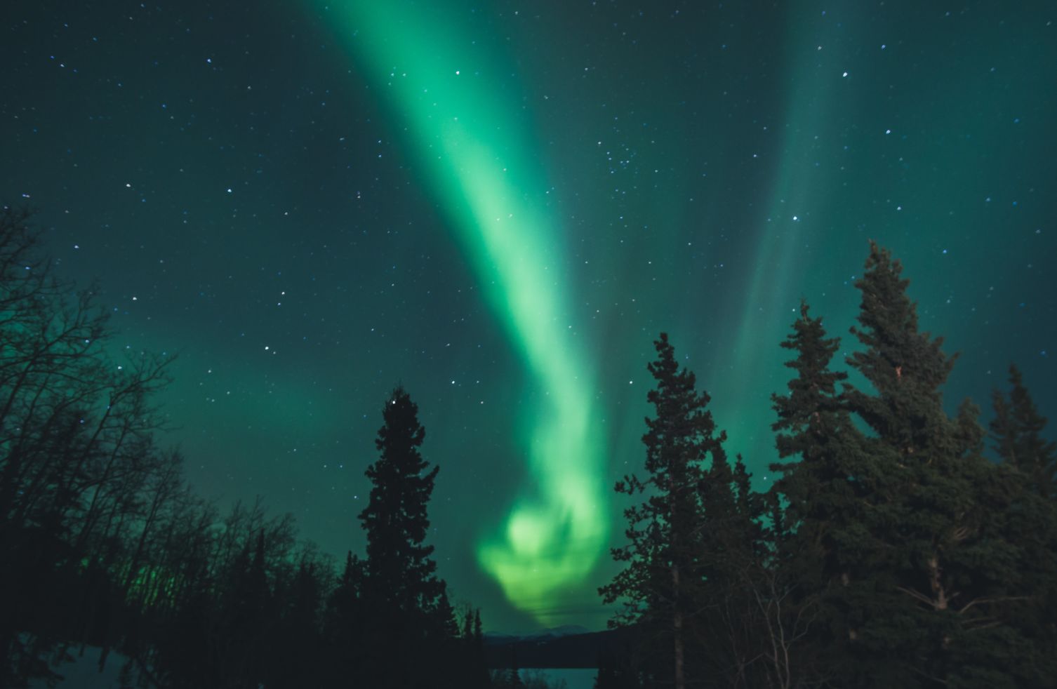 Photo by Leonard Laub on Unsplash