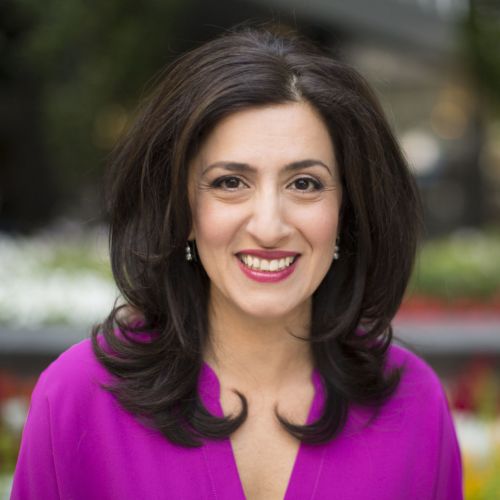Golnaz Golnaraghi