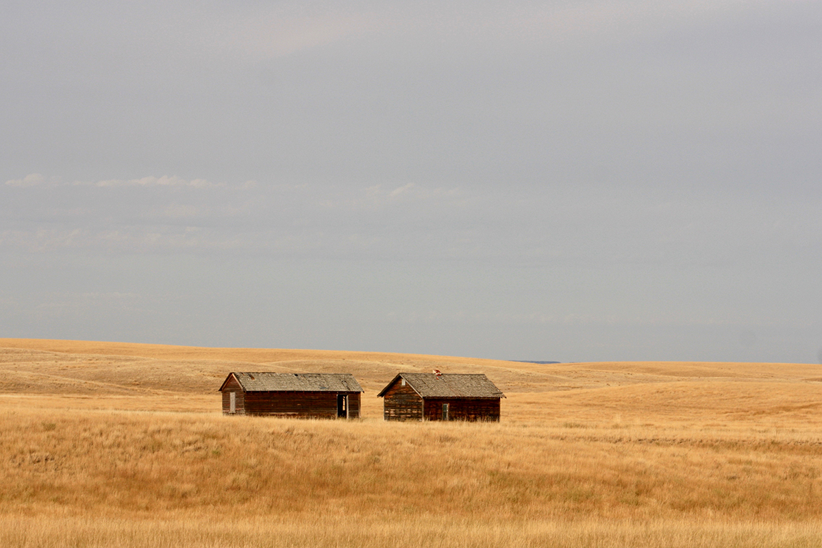 Grasslands National Park, Saskatchewan. 