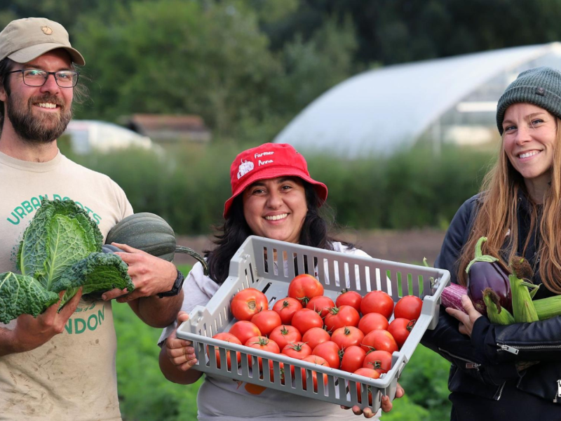 Photo of Urban Roots staff Ben Wilcox, Ana Badillo, and Jenn Daniel