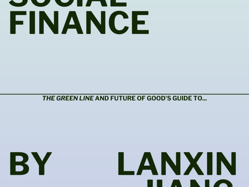 Social finance explainer cover page