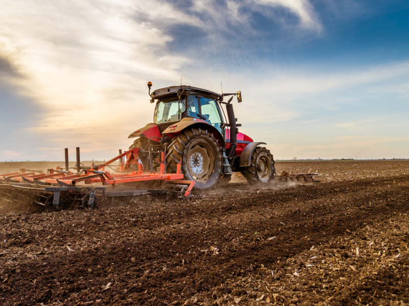 Image of agricultural activity