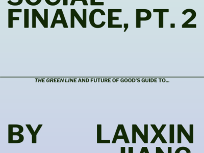Social Finance Explainer graphic Pt.2