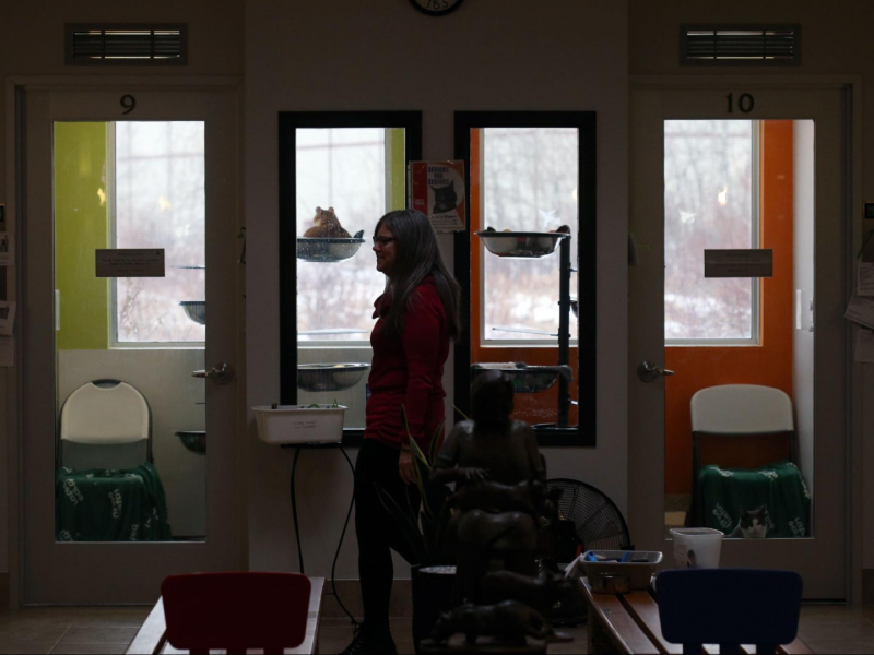 Kelle Greene, director of foster and volunteer services, walks past cat kennels at the Winnipeg Humane Society.