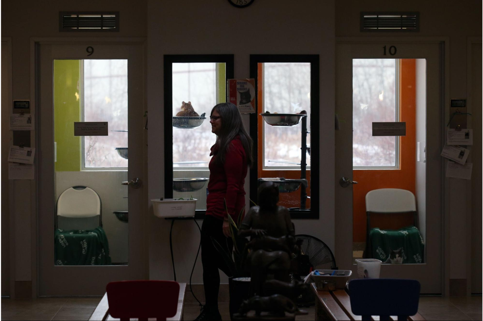 Kelle Greene, director of foster and volunteer services, walks past cat kennels at the Winnipeg Humane Society. 