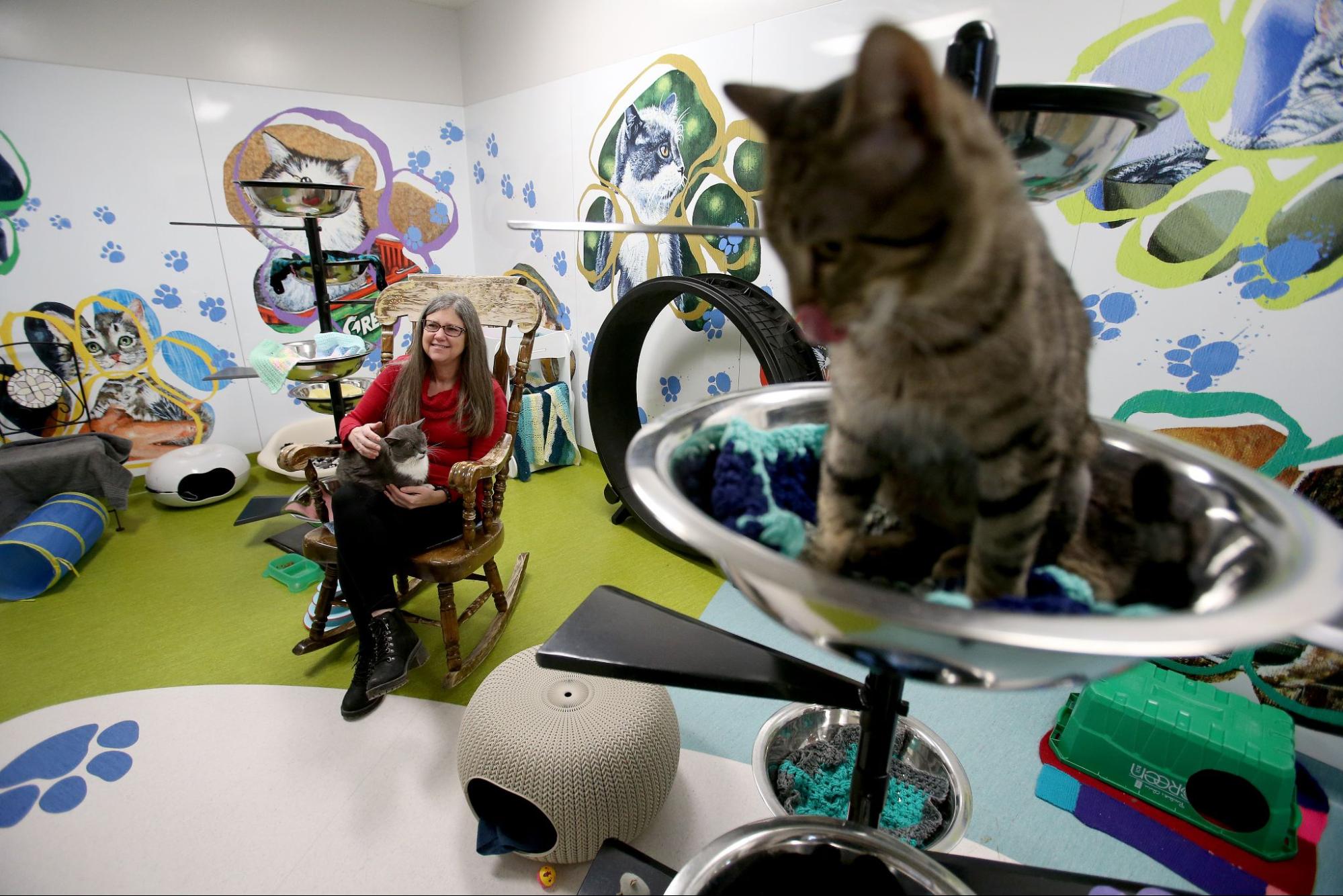 Kelle Greene, director of foster and volunteer services at the Winnipeg Humane Society.