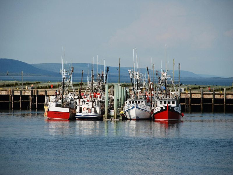 Fishing boats in Nova Scotia.