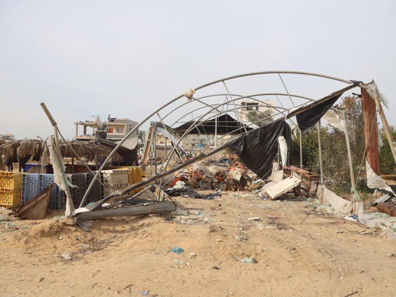 Destroyed agricultural infrastructure in Khan Yunis, Gaza, on Dec 11, 2024. A metal greenhouse frame is bent and broken, with bits of shredded plastic hanging off it.